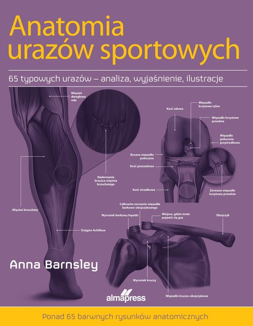 Image of Anatomia urazów sportowych