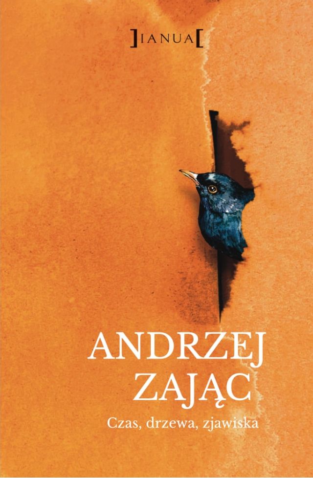 Image of Czas, drzewa, zjawiska