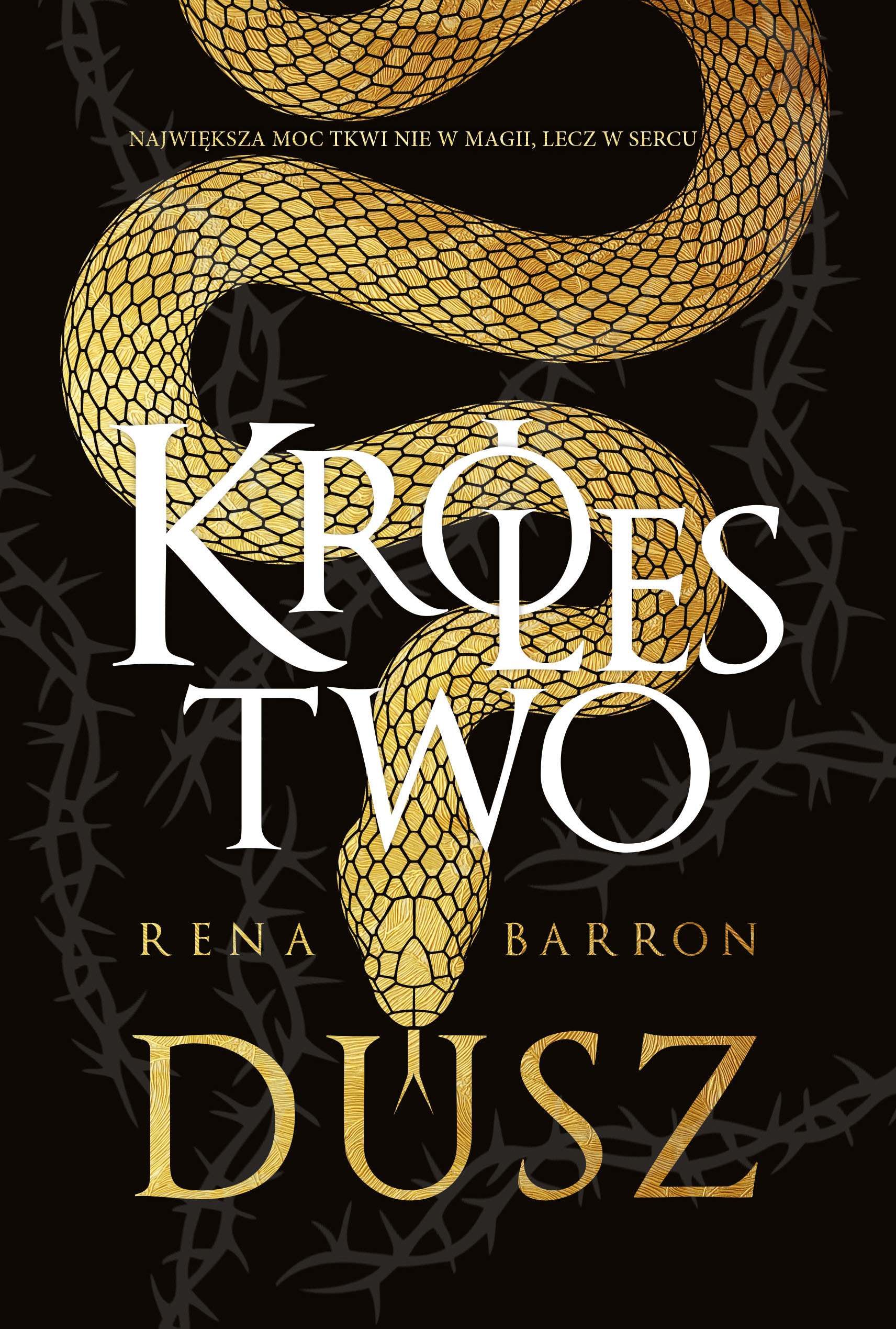 Image of Królestwo dusz. Tom 1 wyd. 2023