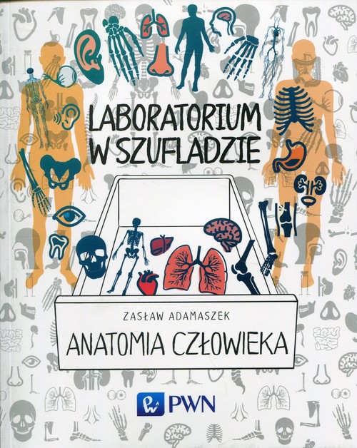 Image of Laboratorium w szufladzie Anatomia człowieka