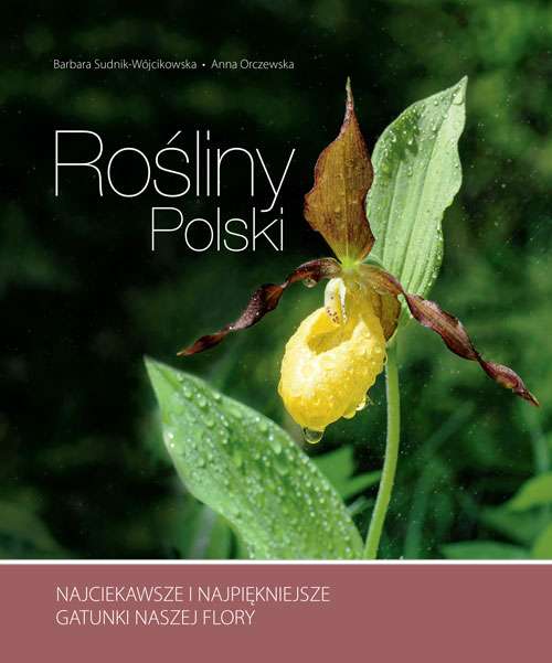 Image of Rośliny polski