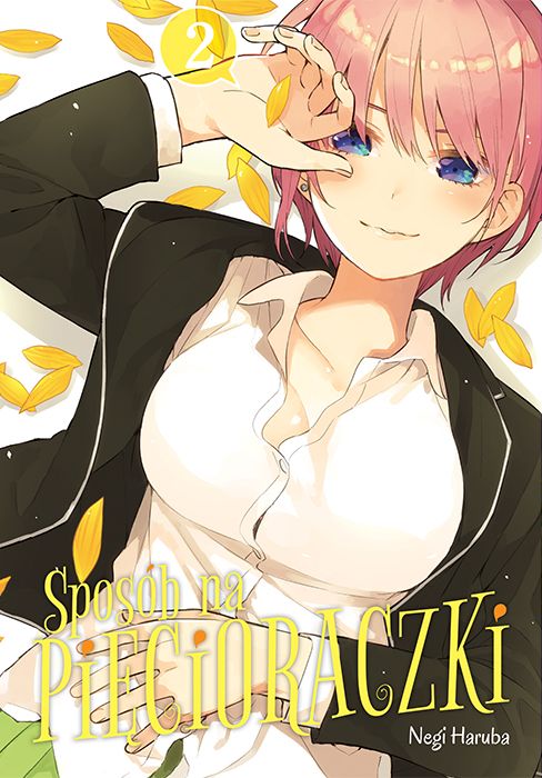 Image of Sposób na pięcioraczki. Tom 2