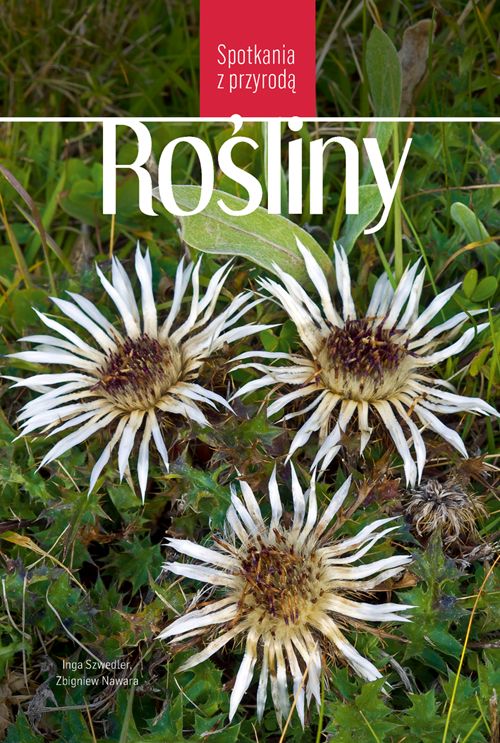 Image of Rośliny. Spotkania z przyrodą