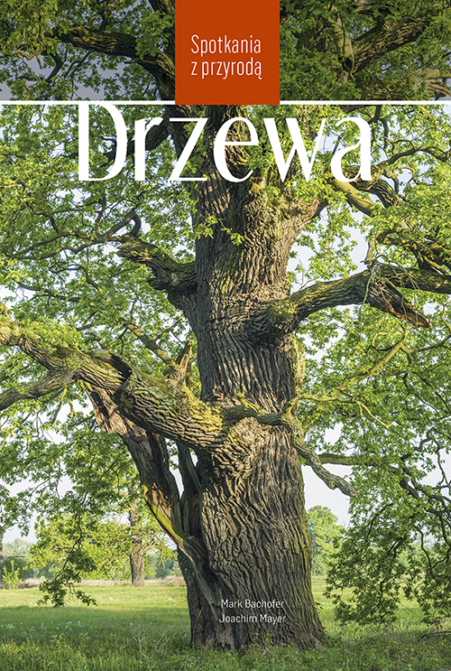 Image of Drzewa. Spotkania z przyrodą