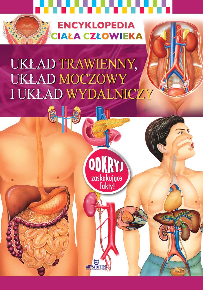 Image of Części ciała. Encyklopedia ciała człowieka