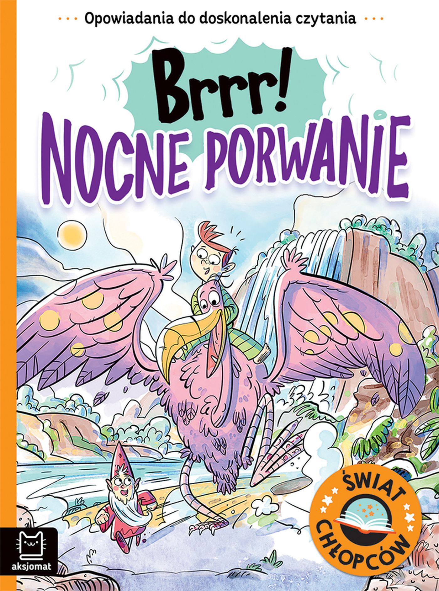 Image of Brrr! Nocne porwanie. Opowiadania do doskonalenia czytania. Świat chłopców
