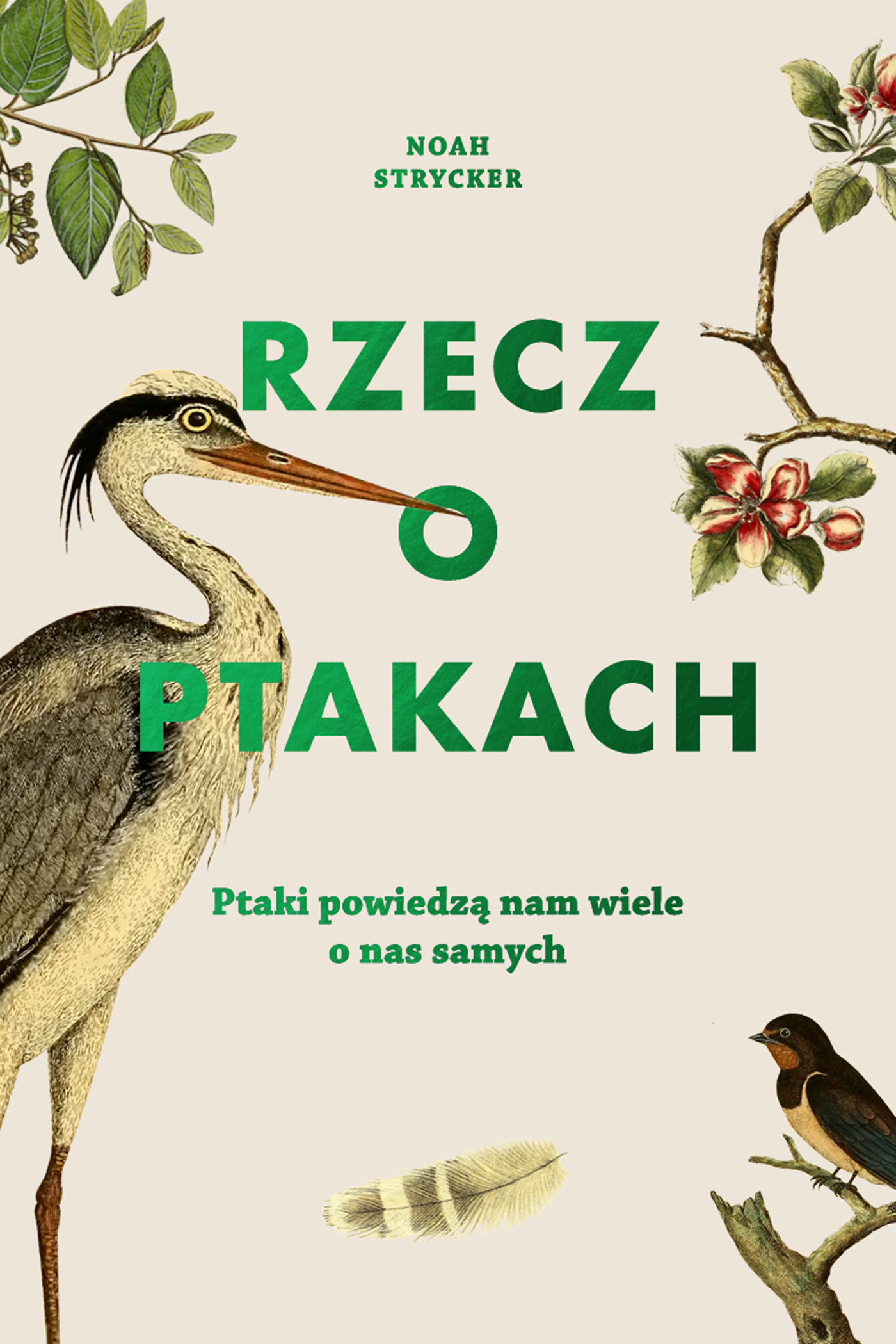 Image of Rzecz o ptakach