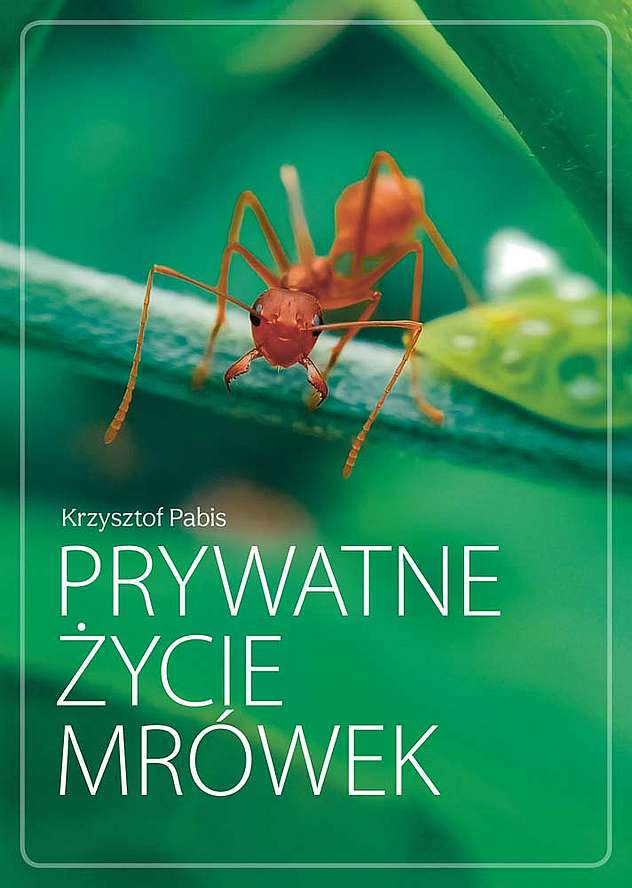 Image of Prywatne życie mrówek
