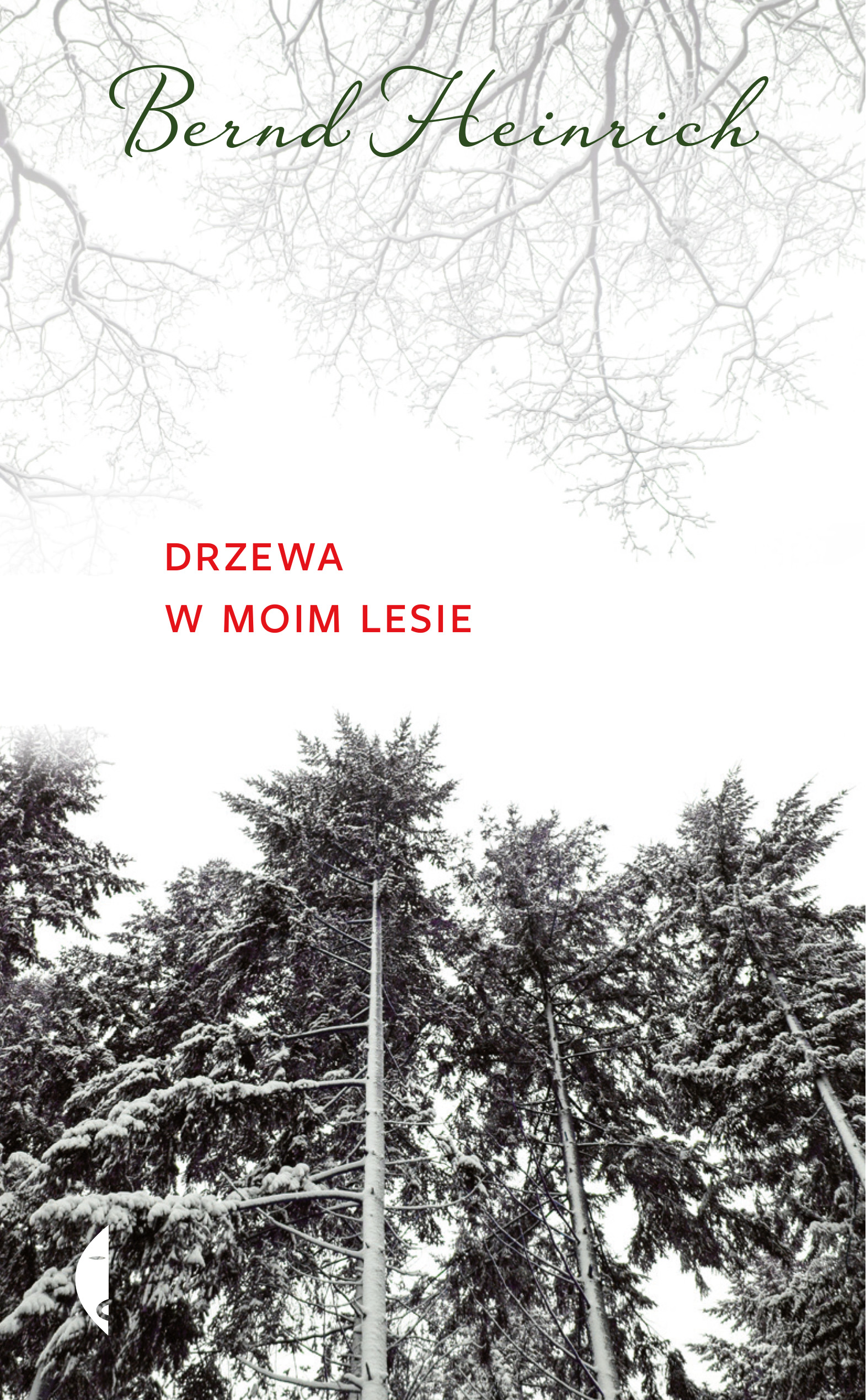 Image of Drzewa w moim lesie