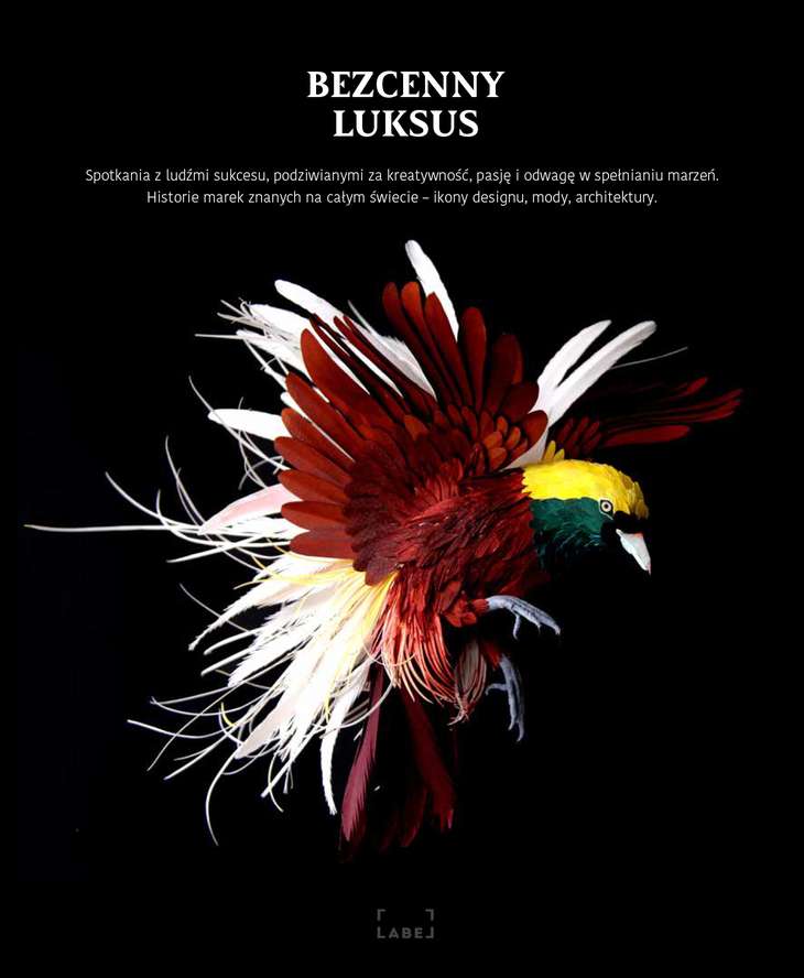 Image of Bezcenny luksus rozmowy z autorytetami