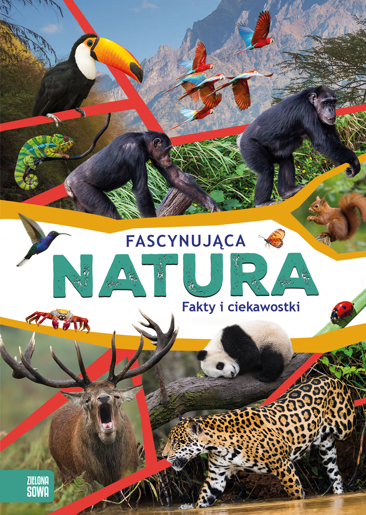 Image of Fascynująca natura