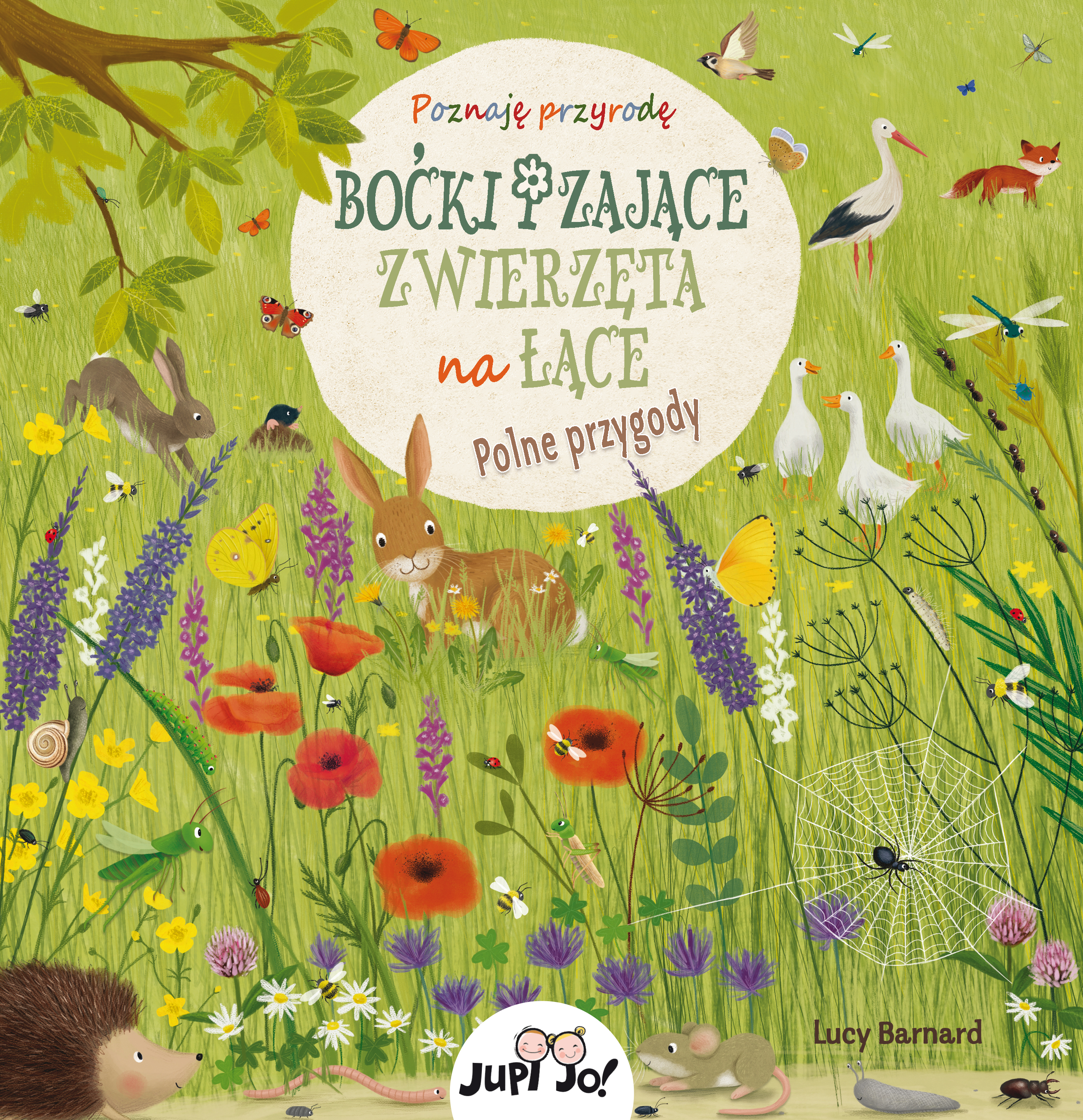 Image of Boćki i zające. Zwierzęta na łące. Polne przygody. Poznaję Przyrodę