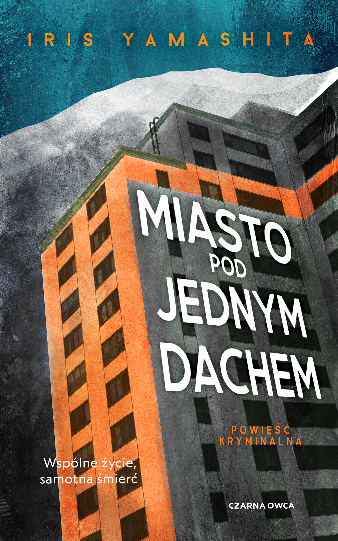 Image of Miasto pod jednym dachem
