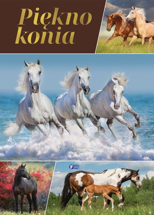 Image of Piękno konia