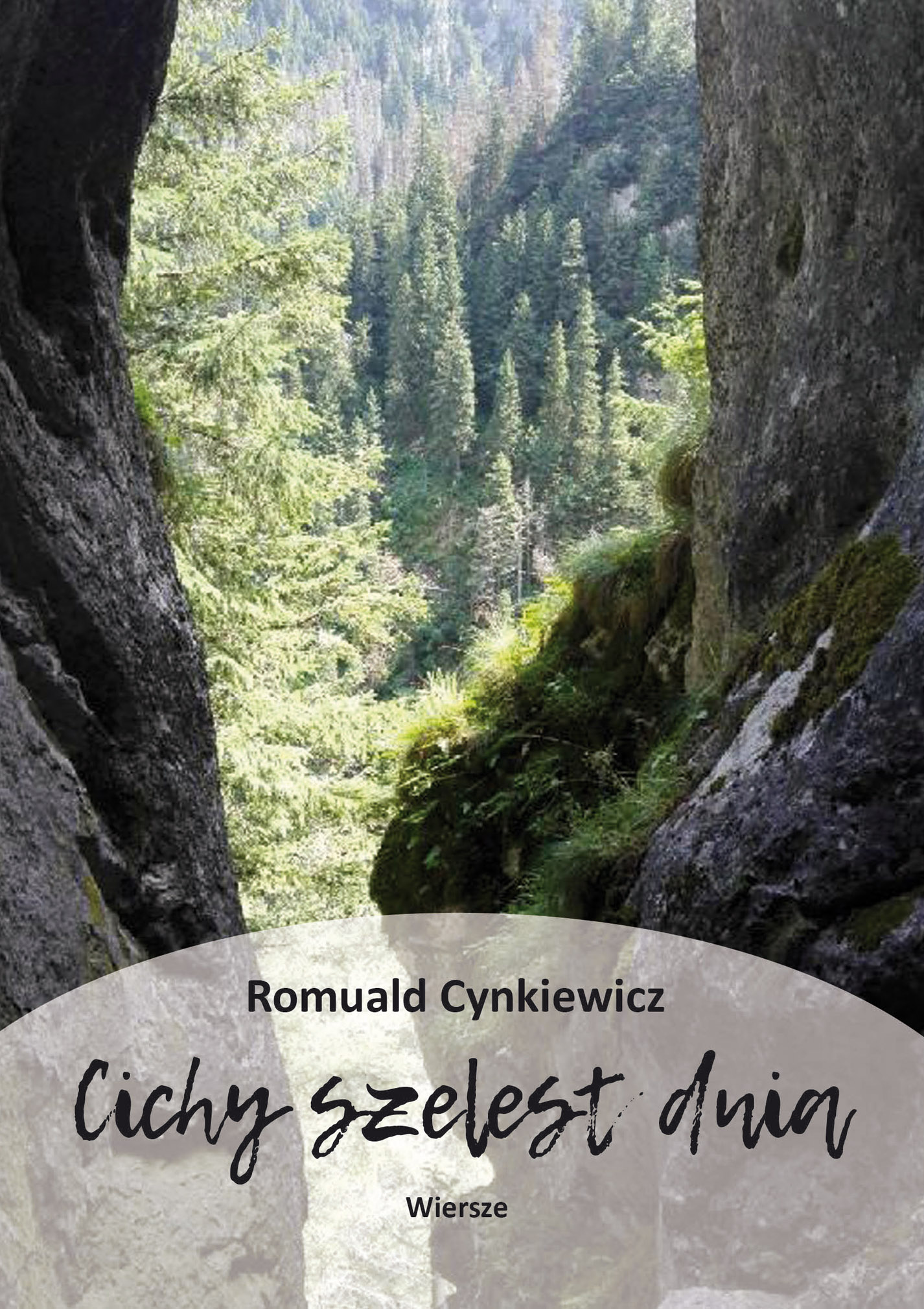 Image of Cichy szelest dnia