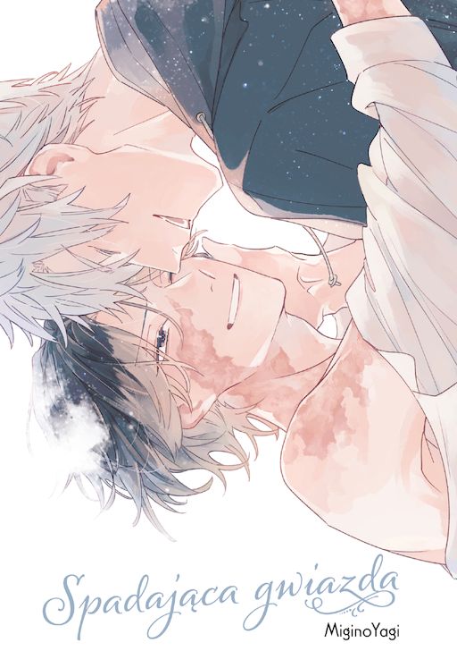 Image of Spadająca gwiazda