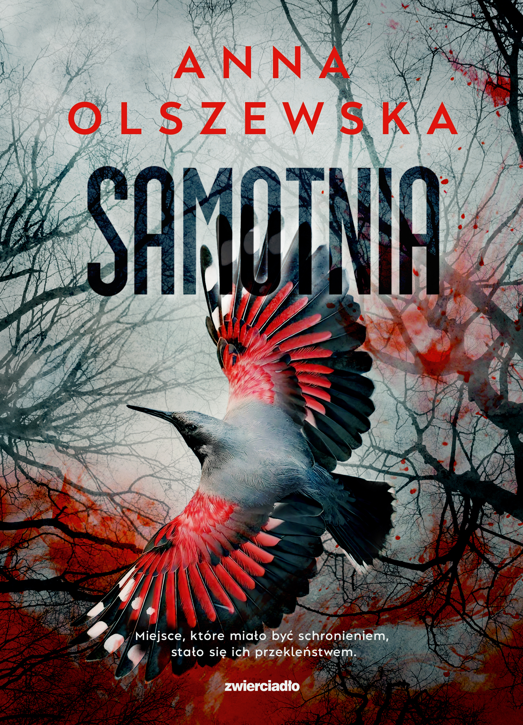 Image of Samotnia. Zbrodnie czorsztyńskie. Tom 2