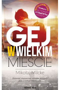 Image of Gej w wielkim mieście. Tom 1